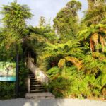 NZ 2016 03 25 1116 NZ 2016 03 25 1116