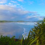 NZ 2016 03 27 1372 Dyn NZ 2016 03 27 1372 Dyn