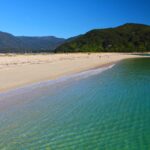 NZ 2016 03 28 1481 NZ 2016 03 28 1481